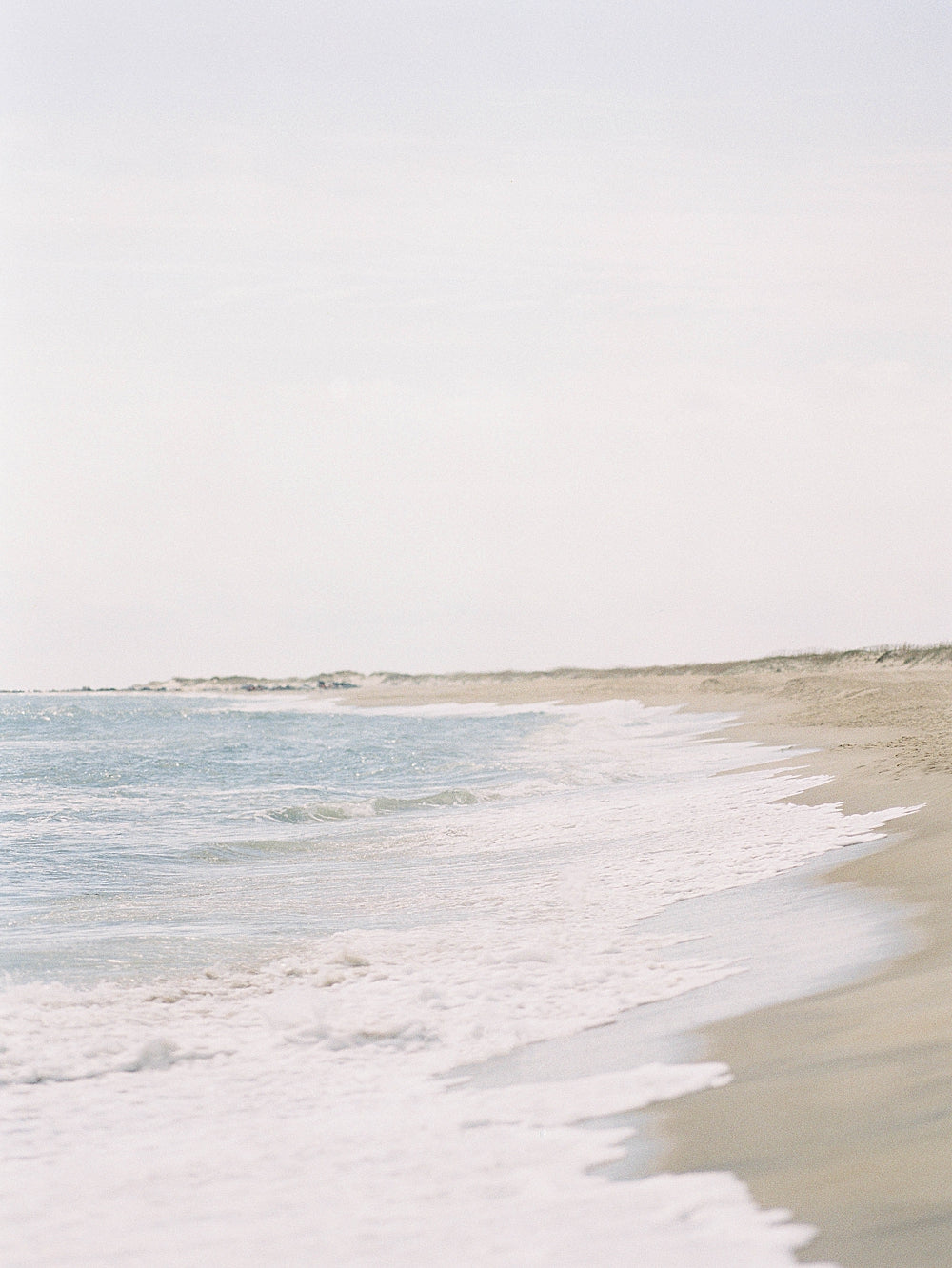 Carolina Coast II