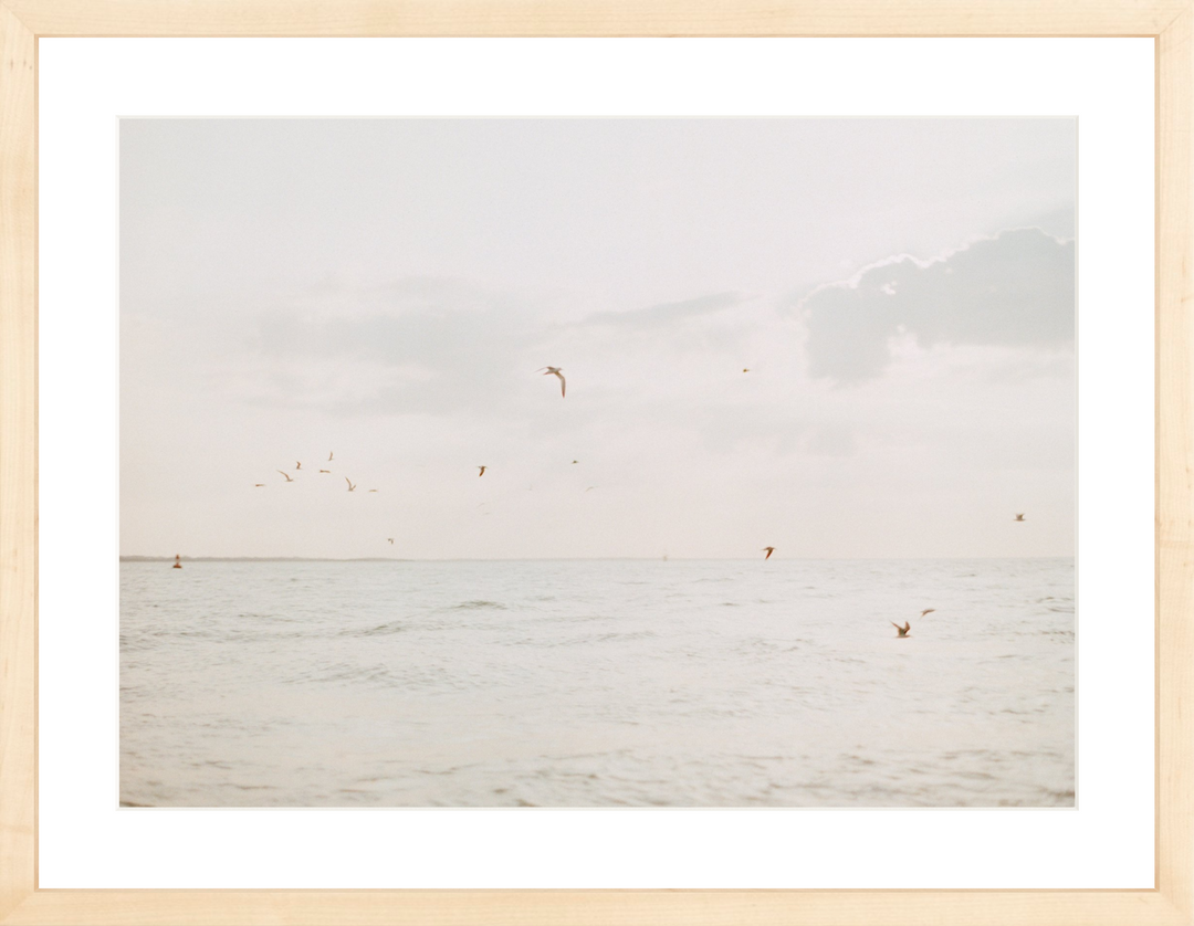 Coastal Morning