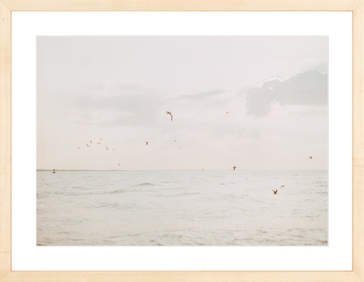 Coastal Morning
