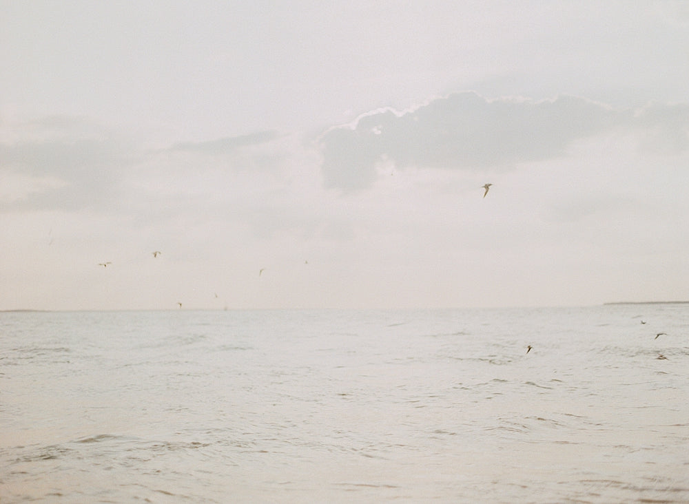 Coastal Morning