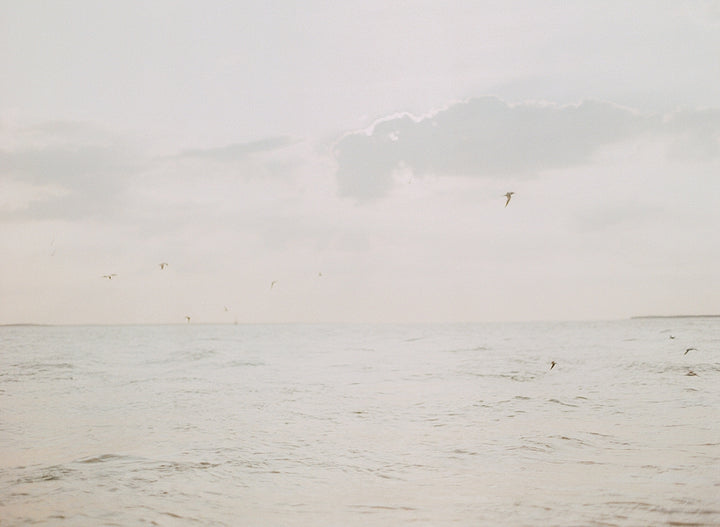 Coastal Morning