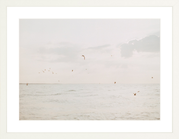 Coastal Morning