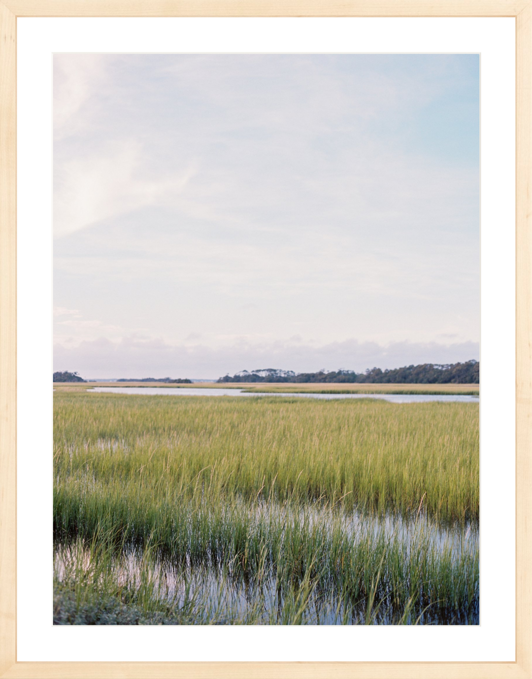Into the Marsh