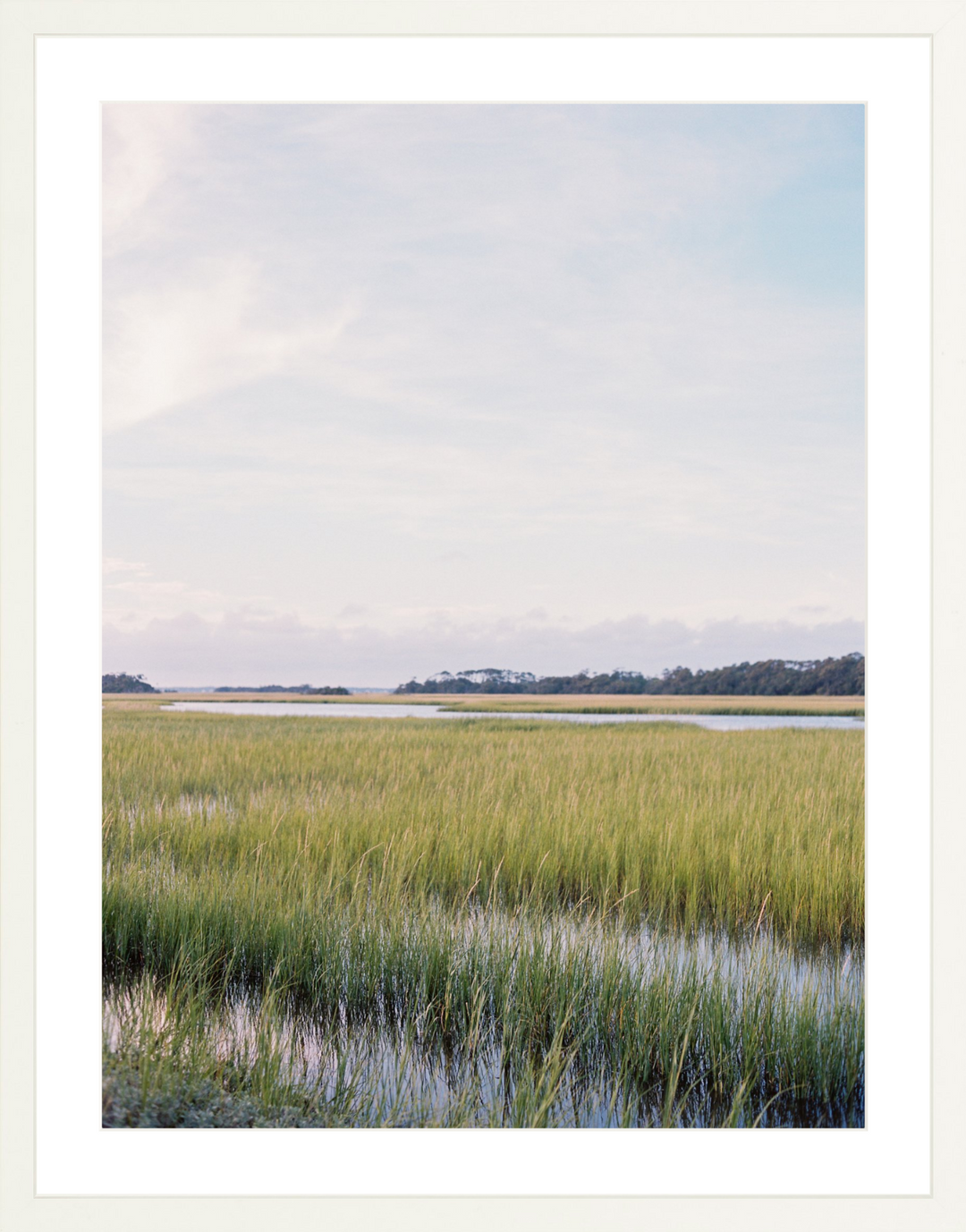Into the Marsh