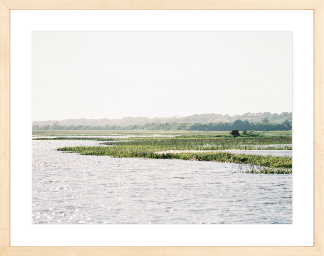 On the Marsh