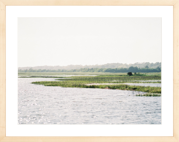 On the Marsh