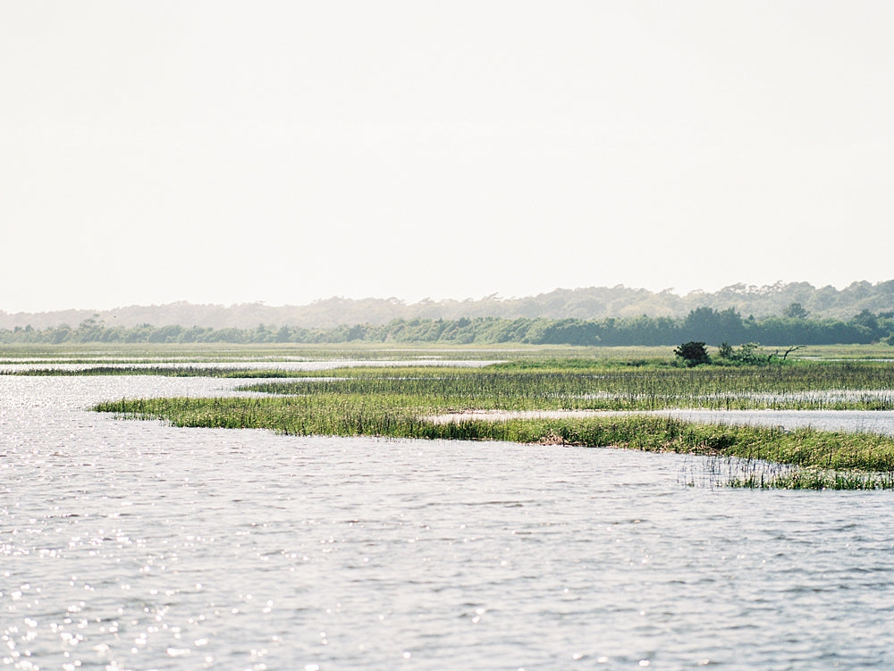 On the Marsh