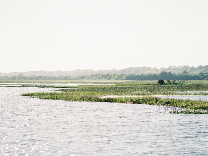 On the Marsh