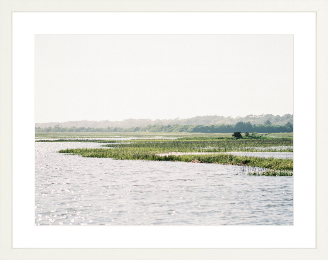 On the Marsh