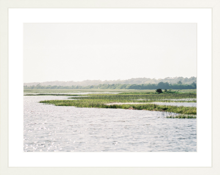 On the Marsh