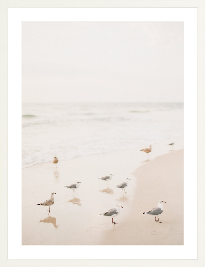 Salty Seagulls III