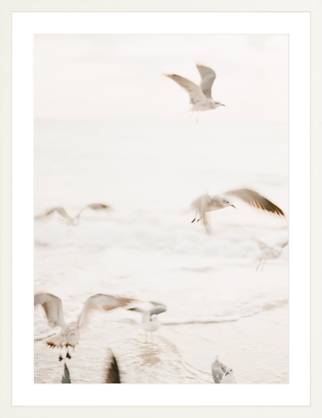 Salty Seagulls
