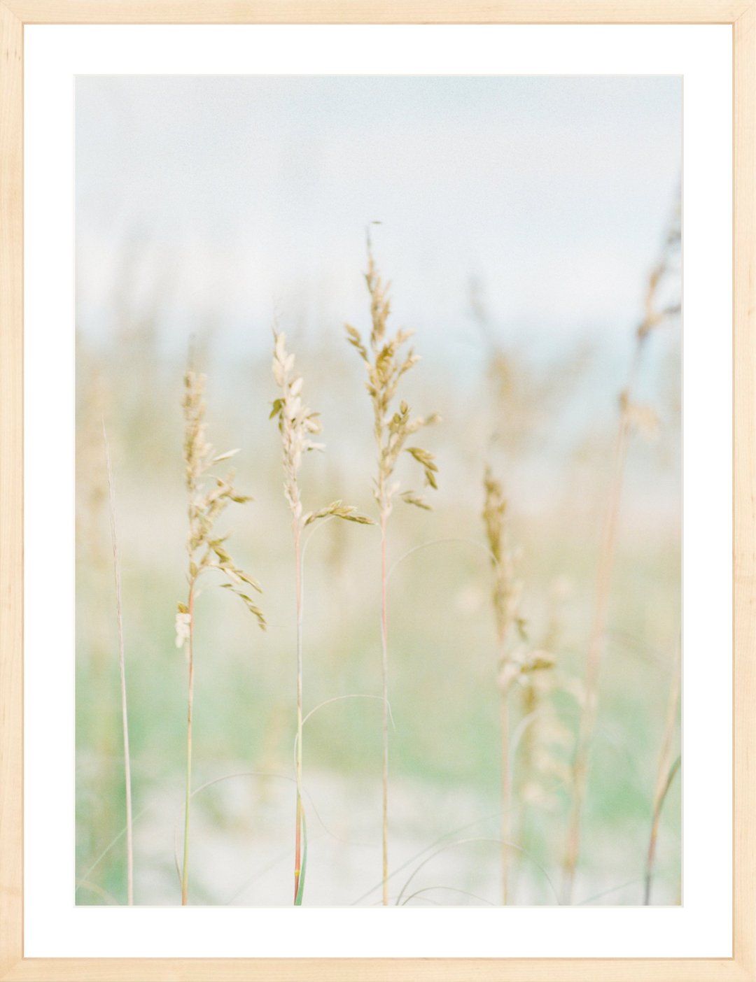 Saltwater Breeze