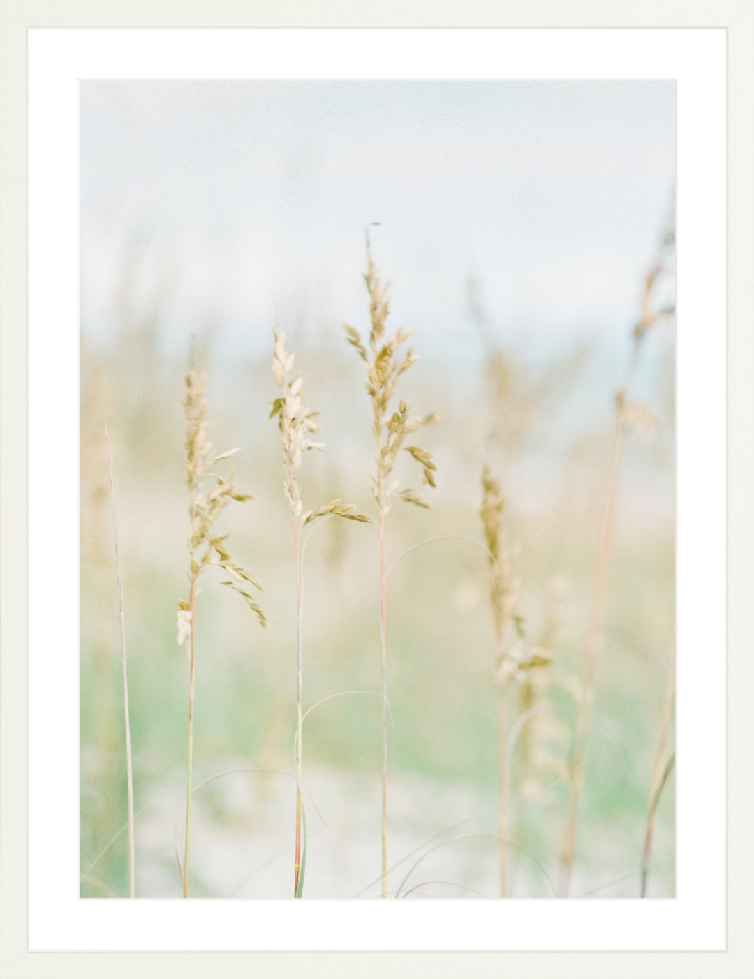 Saltwater Breeze