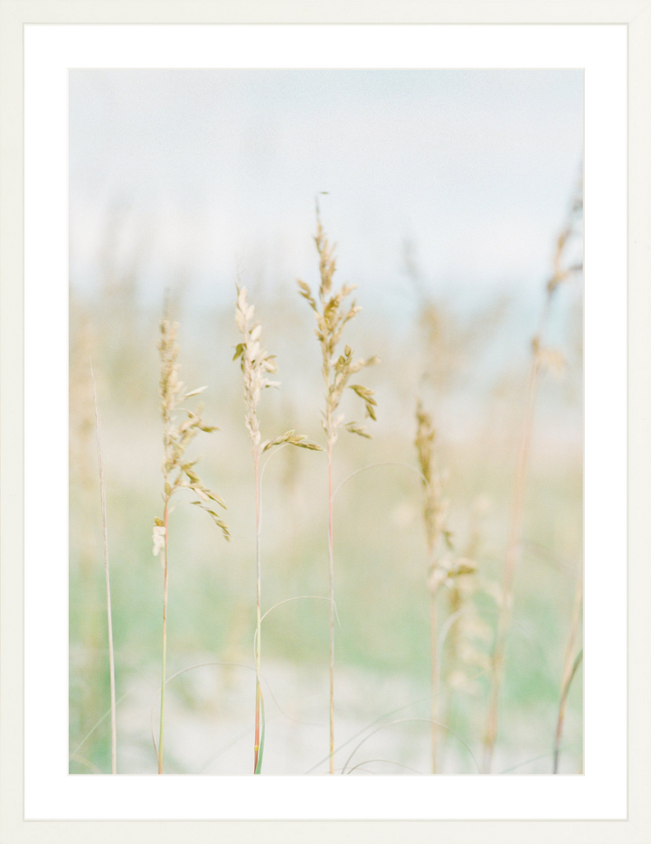Saltwater Breeze