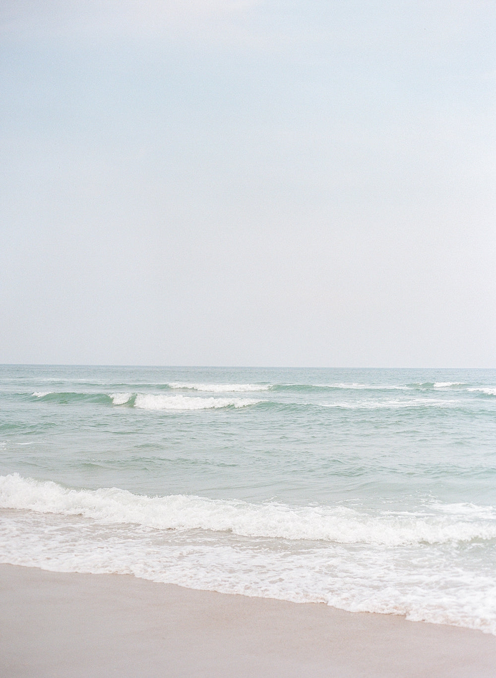 Sea La Vie
