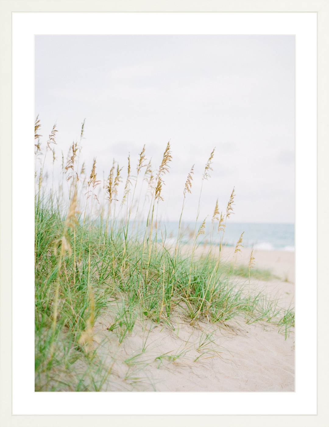 Sea Oats