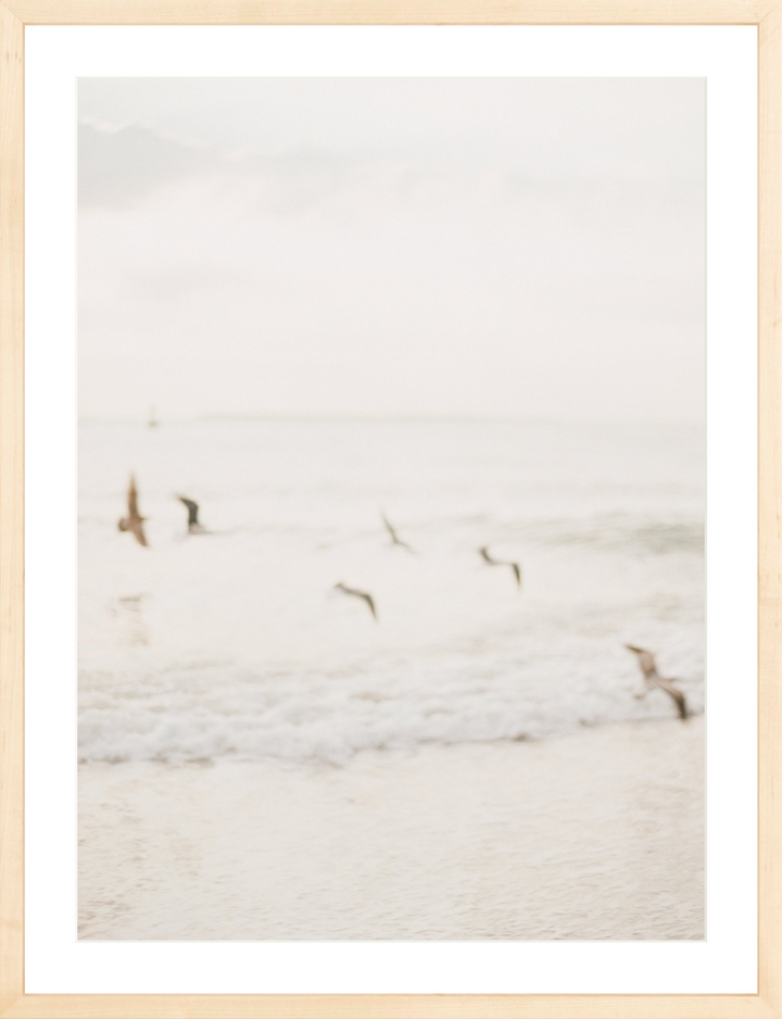 Sea Salt