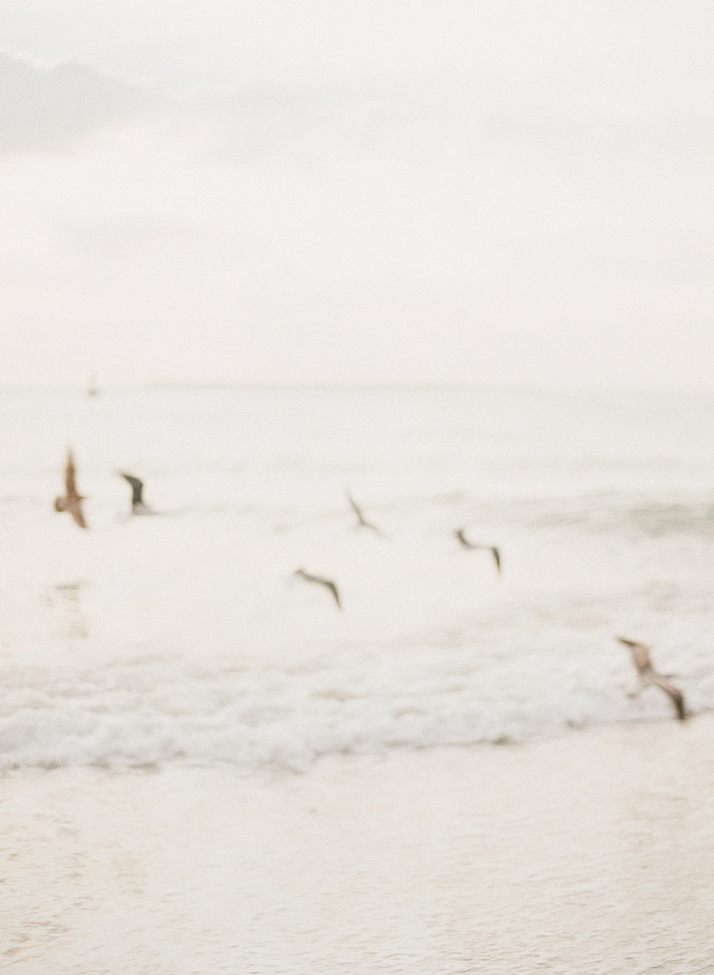 Sea Salt