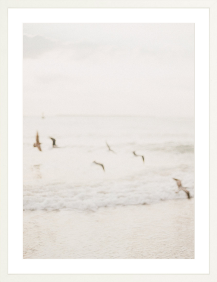 Sea Salt