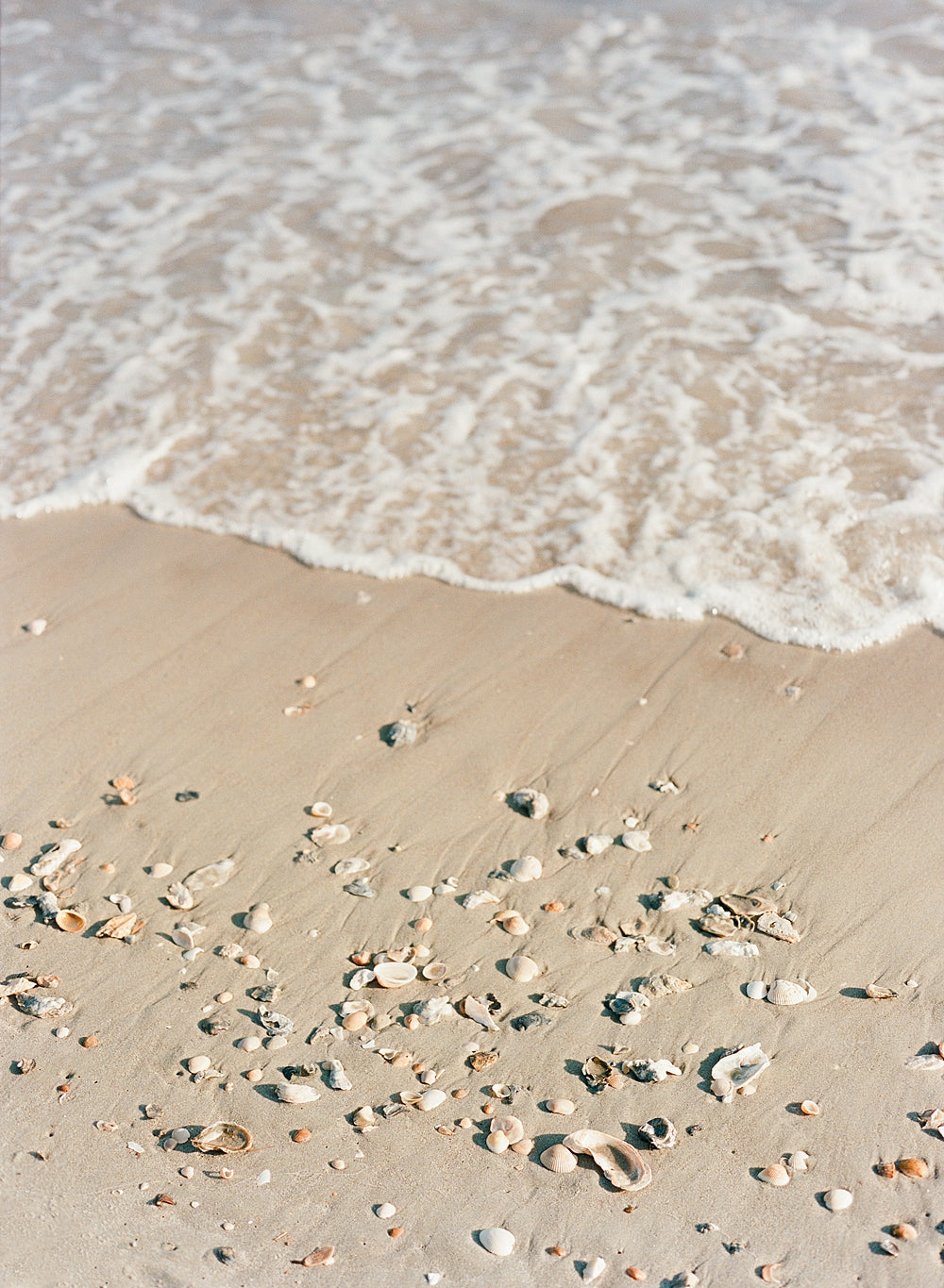 Sea and Sand