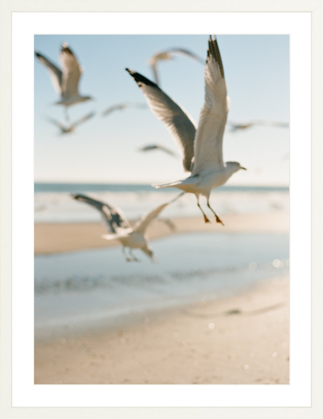 Soar